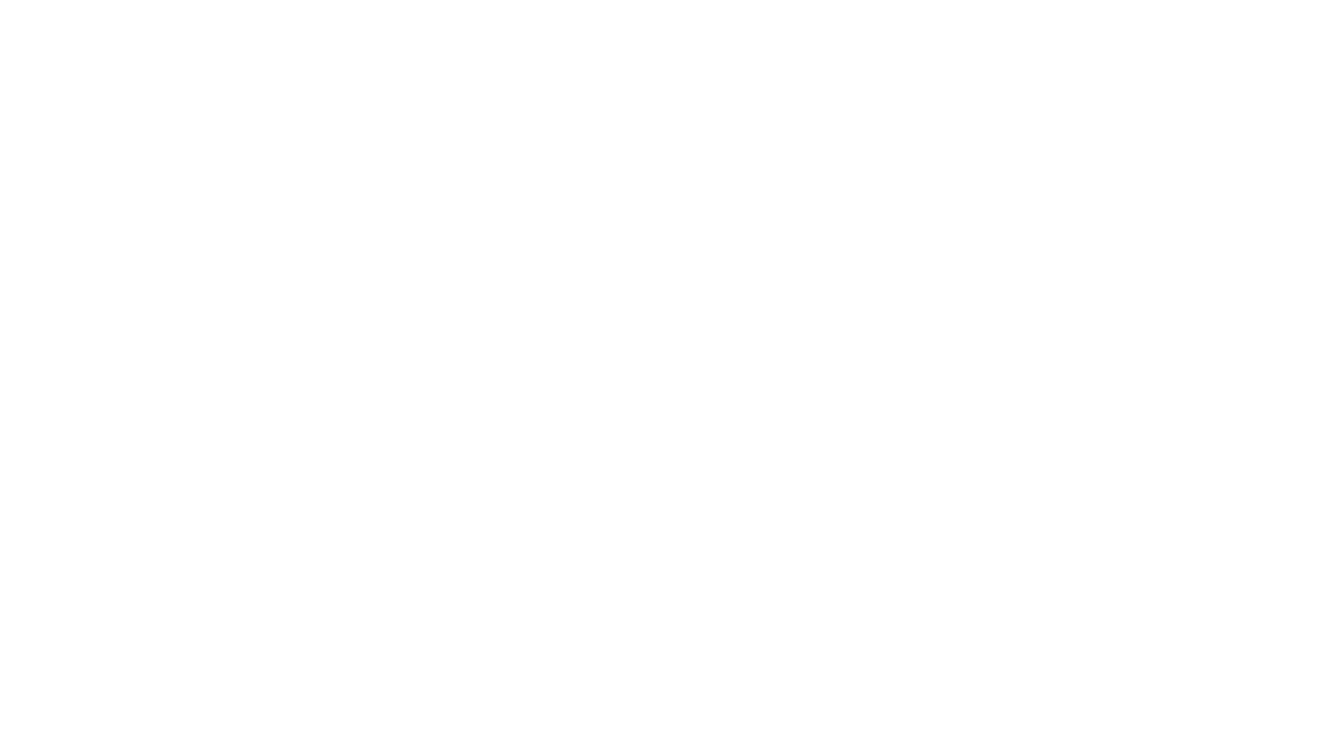 THE CHEESEKAKE
